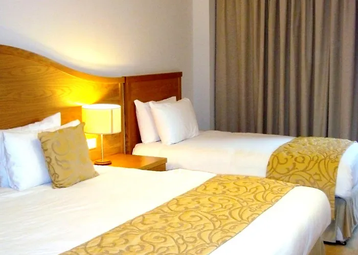 美仑酒店 酒店 Newtown Mount Kennedy