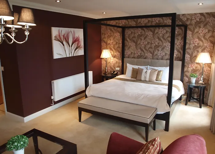 美仑酒店 3* Newtown Mount Kennedy