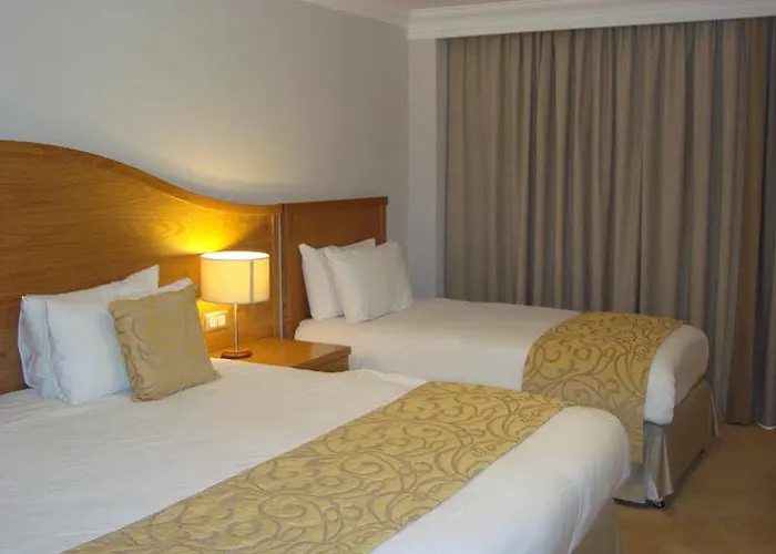 酒店 美仑酒店 3*